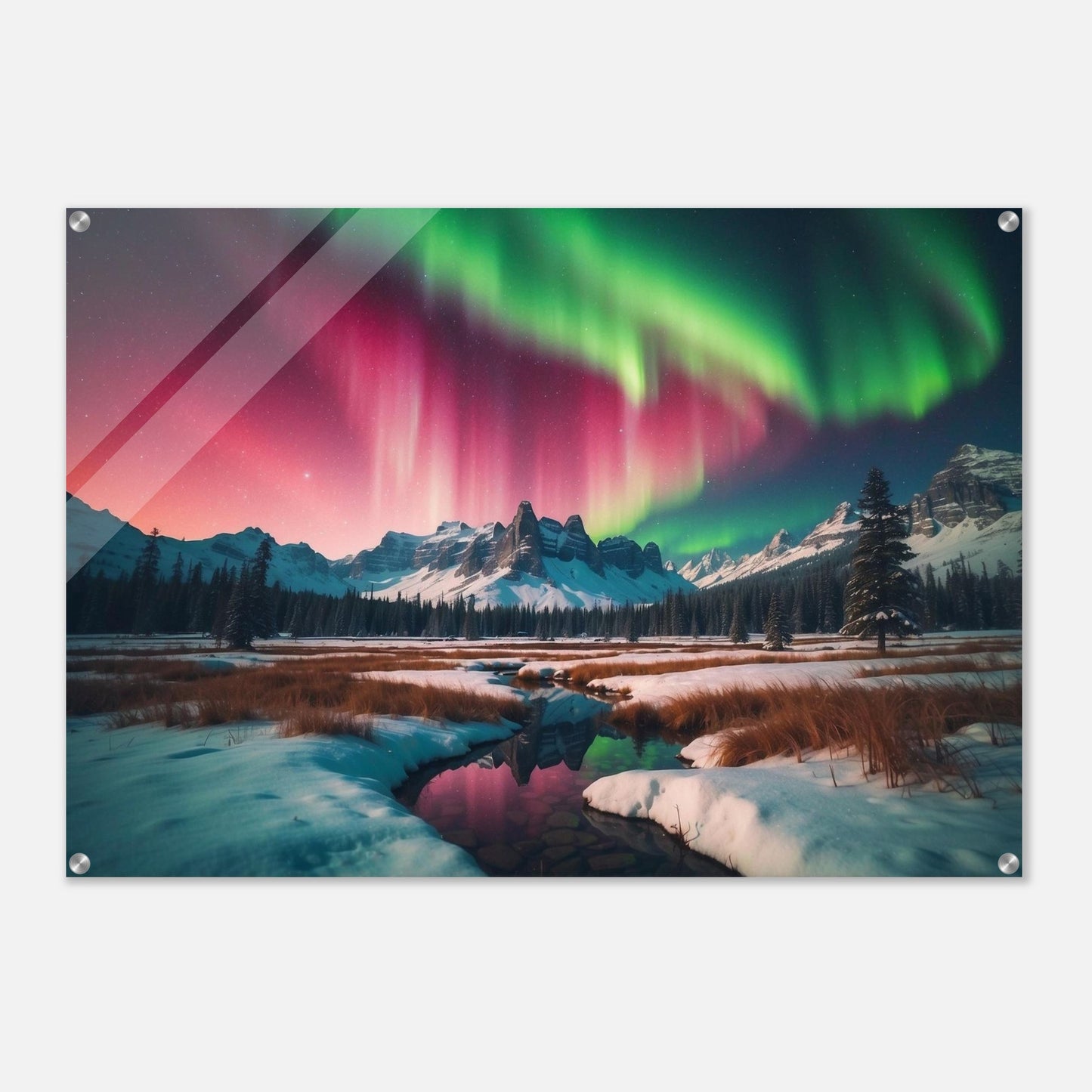 Acrylic Print