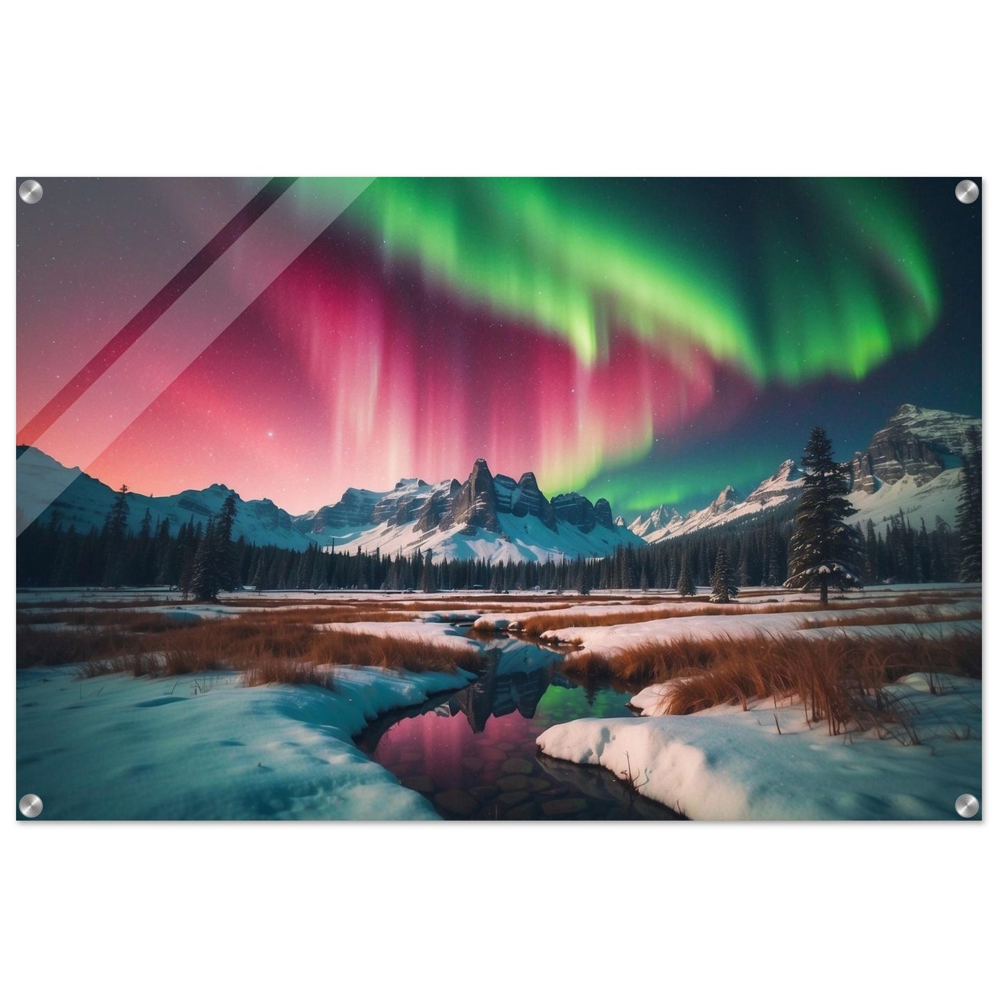 Acrylic Print