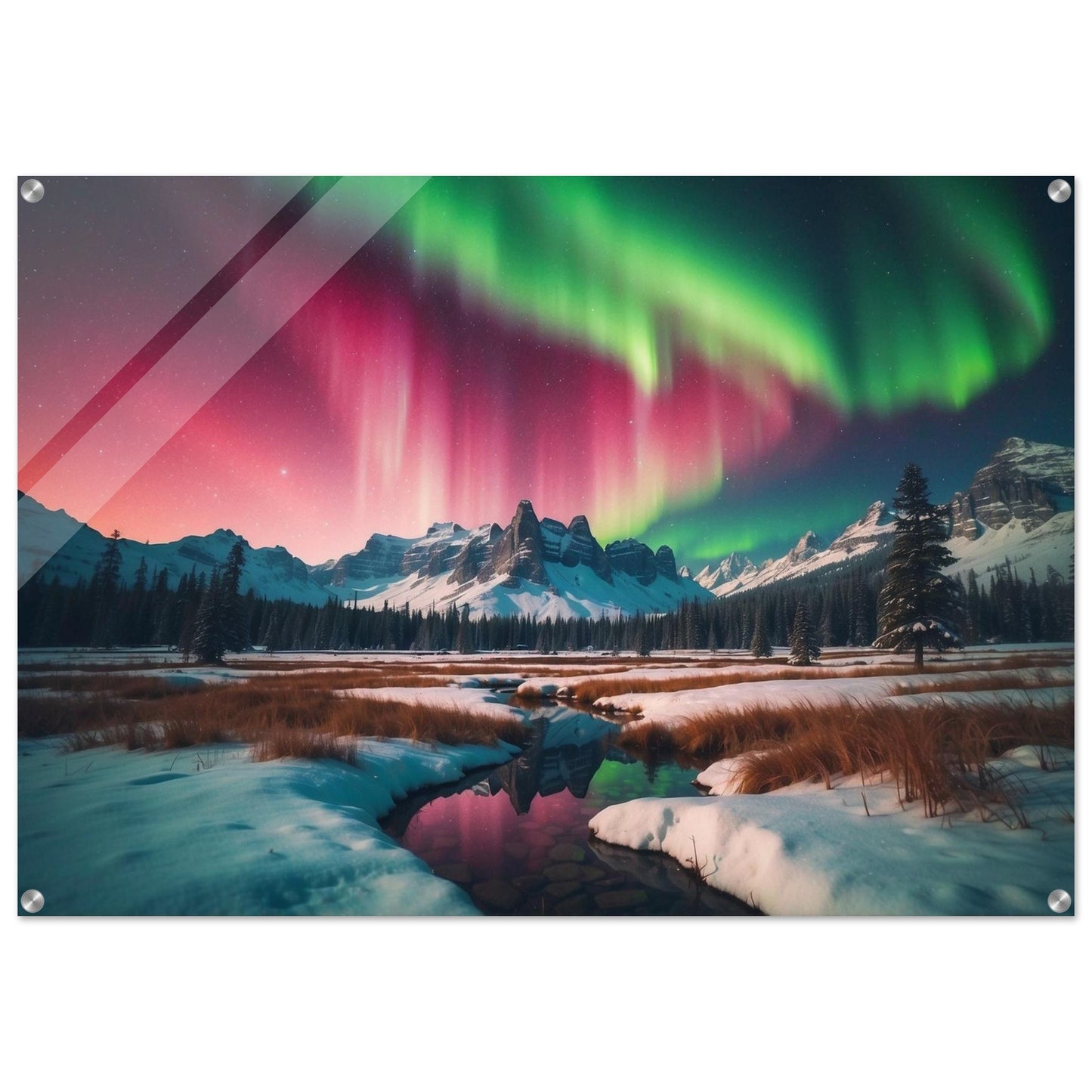 Acrylic Print