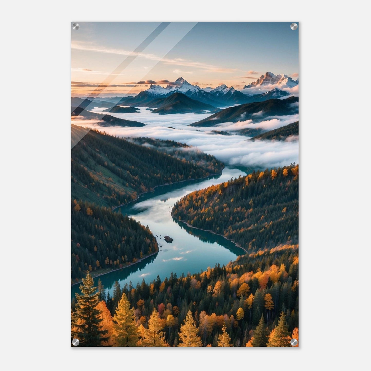 Acrylic Print