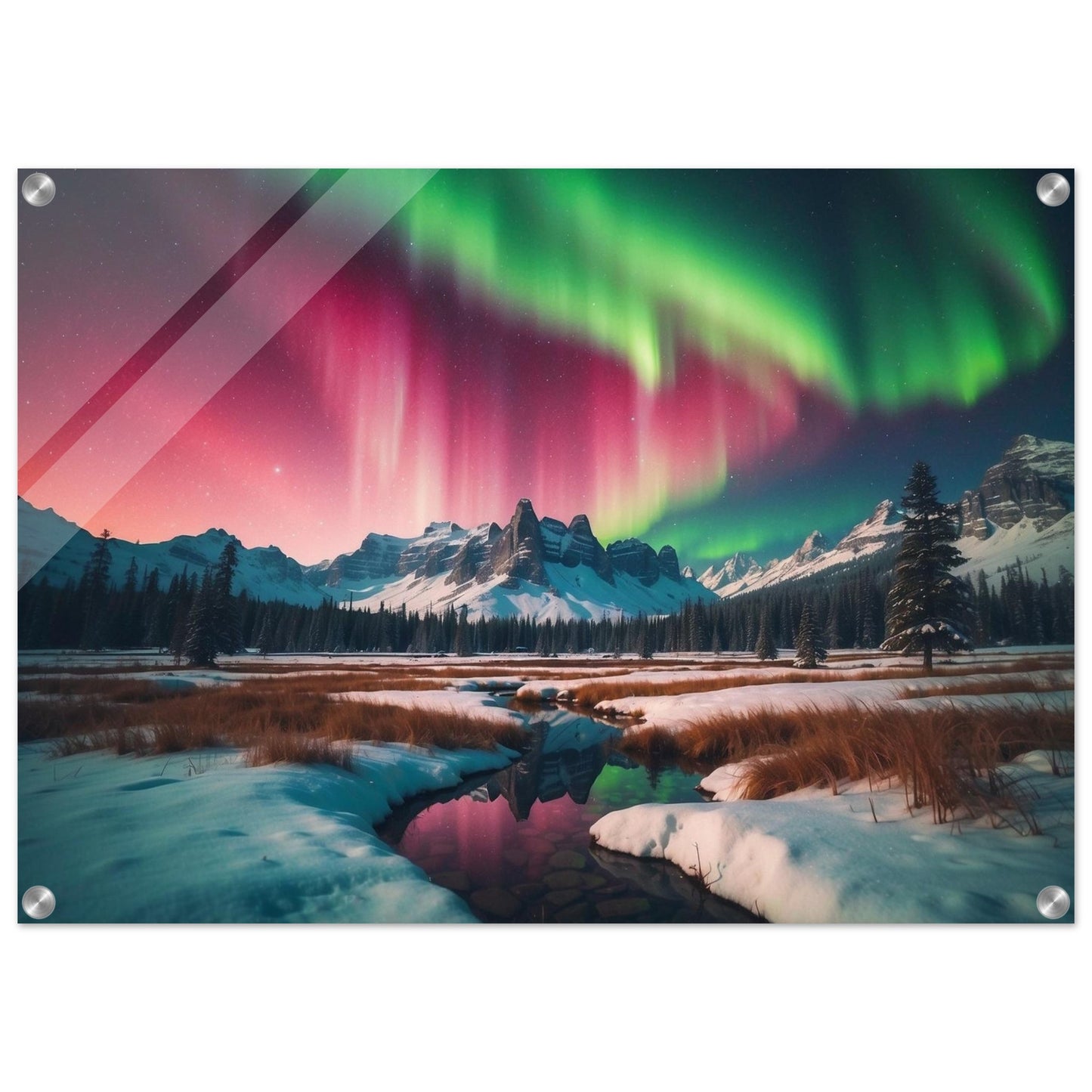 Acrylic Print