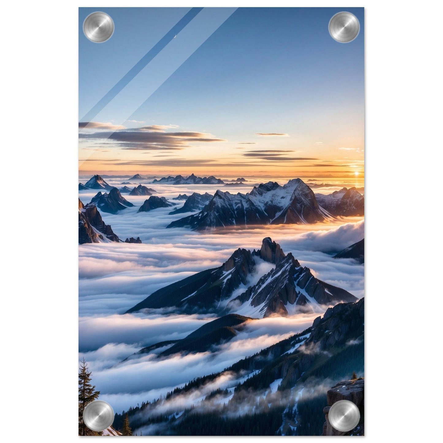 f72a0259-f979-4179-b674-348e5041ddc6