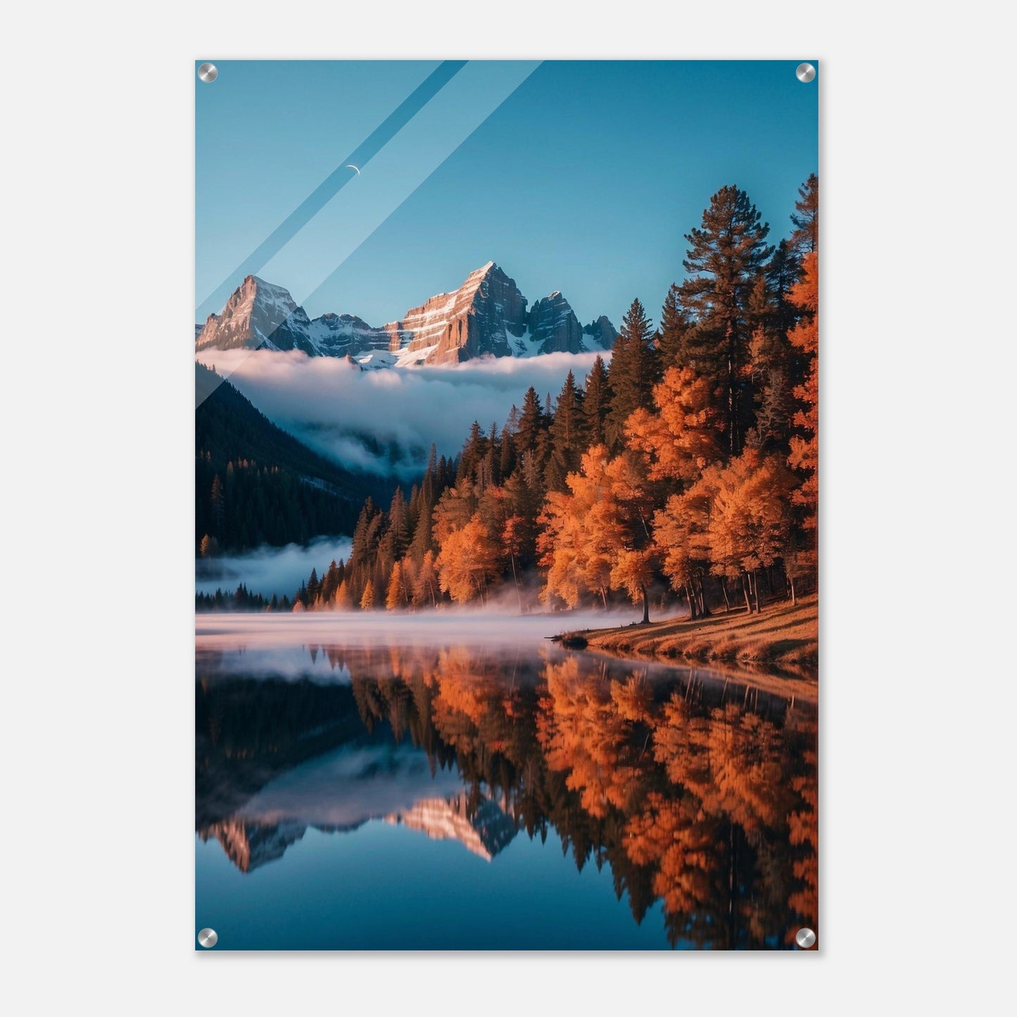 Acrylic Print